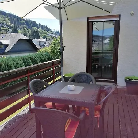 Ferienwohnung-haus-kanzler-willingen Appartement